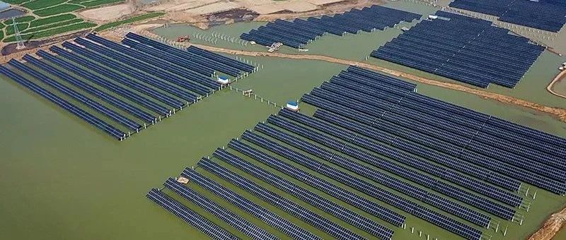  赵立坚微博点赞渔光互补模式壹号娱乐官网科技滁州项目再受关注