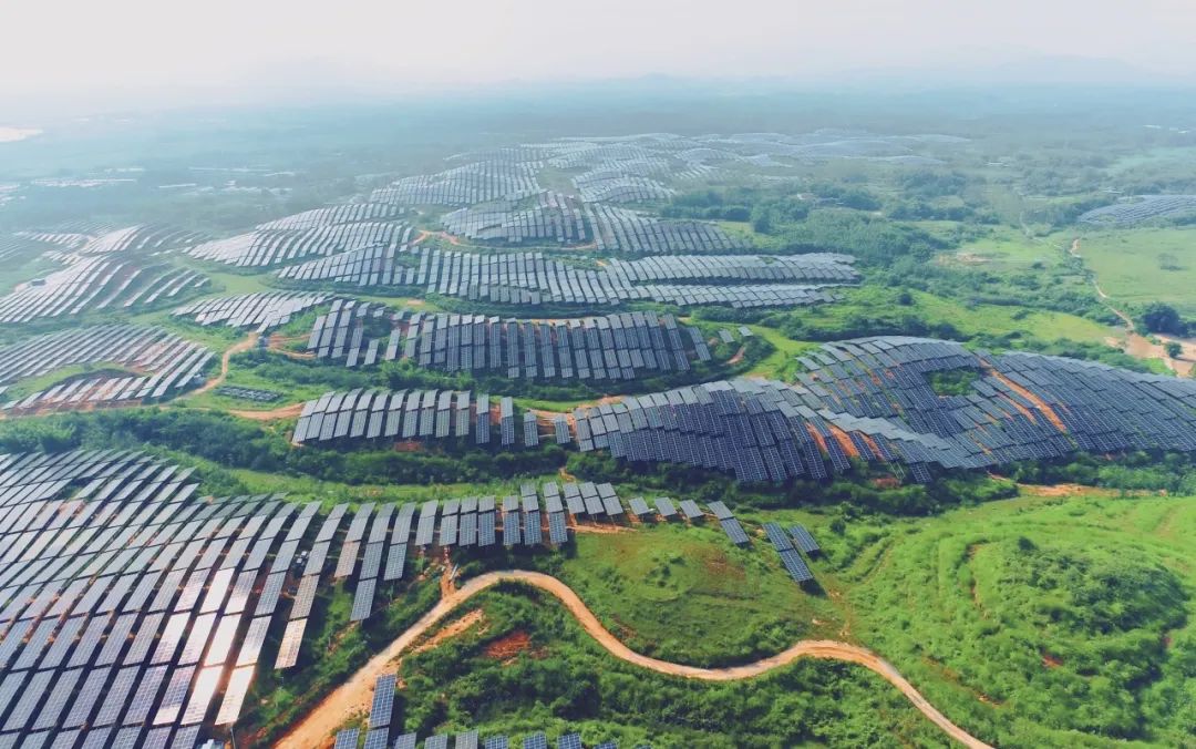 300MW！壹号娱乐官网科技广东农垦红十月农场农光互补项目满发并网